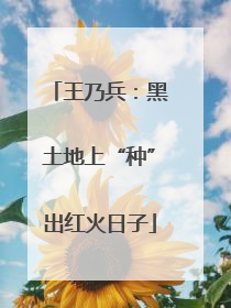 王乃兵：黑土地上“种”出红火日子
