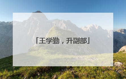 王学勤，升副部