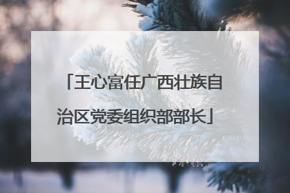 王心富任广西壮族自治区党委组织部部长