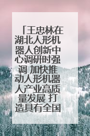 王忠林在湖北人形机器人创新中心调研时强调 加快推动人形机器人产业高质量发展 打造具有全国影响力的研发创新基地