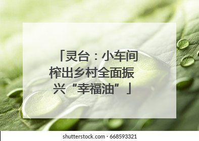 灵台：小车间榨出乡村全面振兴“幸福油”