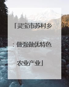 灵宝市苏村乡：做强做优特色农业产业