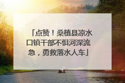 点赞！桑植县凉水口镇干部不惧河深流急，勇救落水人车
