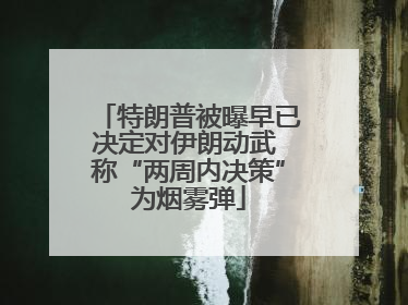 特朗普被曝早已决定对伊朗动武 称“两周内决策”为烟雾弹