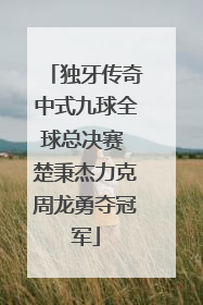 独牙传奇中式九球全球总决赛 楚秉杰力克周龙勇夺冠军