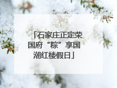 石家庄正定荣国府“粽”享国潮红楼假日