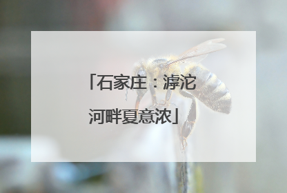 石家庄：滹沱河畔夏意浓
