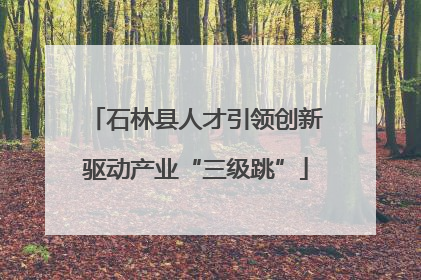 石林县人才引领创新驱动产业“三级跳”