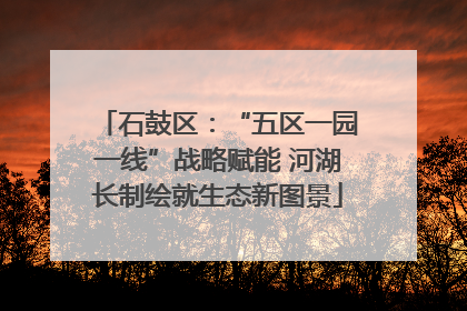 石鼓区：“五区一园一线”战略赋能 河湖长制绘就生态新图景
