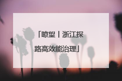 瞭望丨浙江探路高效能治理