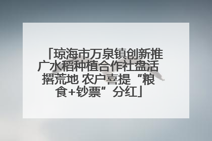 琼海市万泉镇创新推广水稻种植合作社盘活撂荒地 农户喜提“粮食+钞票”分红