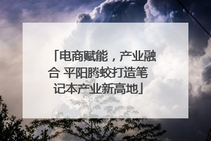 电商赋能，产业融合 平阳腾蛟打造笔记本产业新高地