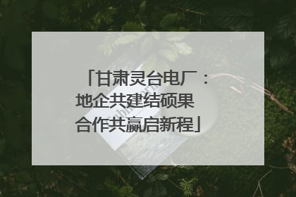 甘肃灵台电厂：地企共建结硕果 合作共赢启新程