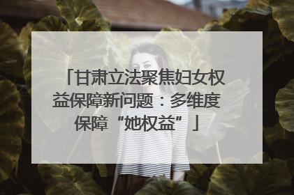 甘肃立法聚焦妇女权益保障新问题：多维度保障“她权益”