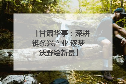 甘肃华亭：深耕链条兴产业 逐梦沃野绘新景
