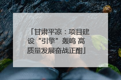 甘肃平凉：项目建设“引擎”轰鸣 高质量发展奋战正酣