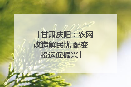 甘肃庆阳：农网改造解民忧 配变投运促振兴