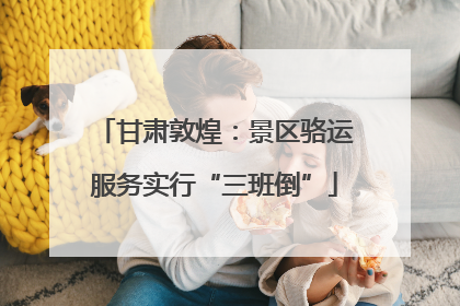 甘肃敦煌：景区骆运服务实行“三班倒”