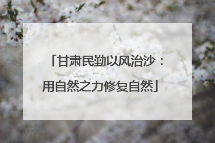 甘肃民勤以风治沙：用自然之力修复自然