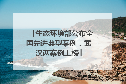 生态环境部公布全国先进典型案例，武汉两案例上榜