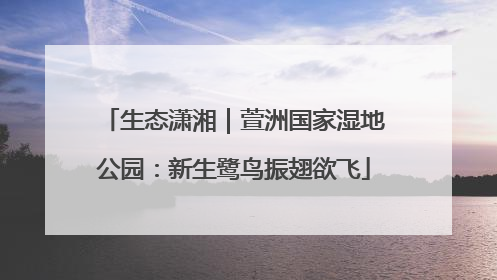 生态潇湘｜萱洲国家湿地公园：新生鹭鸟振翅欲飞