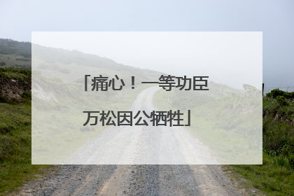 痛心！一等功臣万松因公牺牲