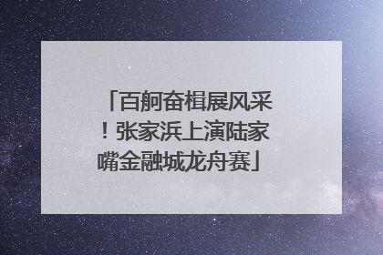 百舸奋楫展风采！张家浜上演陆家嘴金融城龙舟赛