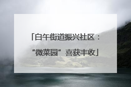 白午街道振兴社区：“微菜园”喜获丰收