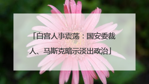白宫人事震荡：国安委裁人、马斯克暗示淡出政治
