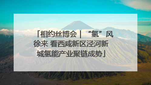 相约丝博会｜“氢”风徐来 看西咸新区泾河新城氢能产业聚链成势