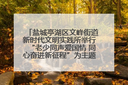 盐城亭湖区文峰街道新时代文明实践所举行“老少同声爱国情 同心奋进新征程”为主题的红色文化活动