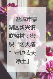 盐城市亭湖区新兴镇联盟村：密织“防火墙”守护蓝天净土
