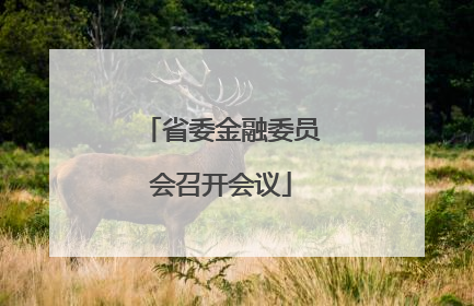 省委金融委员会召开会议