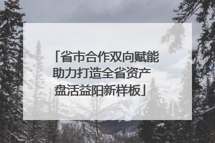 省市合作双向赋能 助力打造全省资产盘活益阳新样板