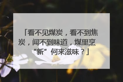 看不见煤炭，看不到焦炭，闻不到味道，煤里烹“新”何来滋味？