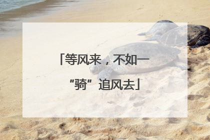 等风来，不如一“骑”追风去