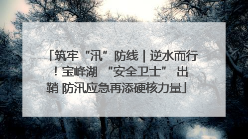 筑牢“汛”防线｜逆水而行！宝峰湖 “安全卫士” 出鞘 防汛应急再添硬核力量