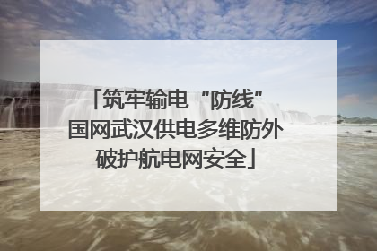 筑牢输电“防线” 国网武汉供电多维防外破护航电网安全