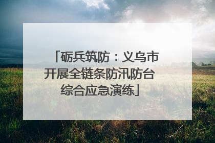 砺兵筑防：义乌市开展全链条防汛防台综合应急演练