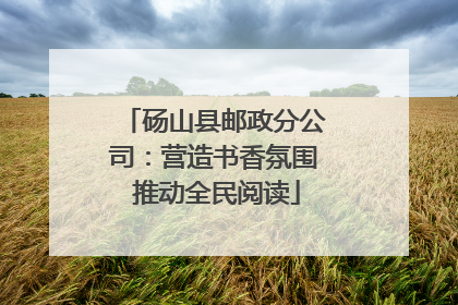 砀山县邮政分公司：营造书香氛围 推动全民阅读