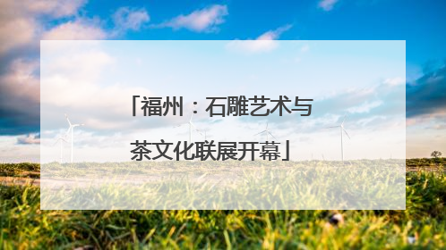 福州：石雕艺术与茶文化联展开幕