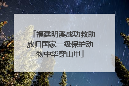 福建明溪成功救助放归国家一级保护动物中华穿山甲