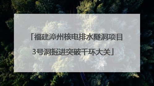 福建漳州核电排水隧洞项目3号洞掘进突破千环大关