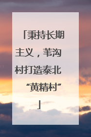 秉持长期主义，苇沟村打造泰北“黄精村”