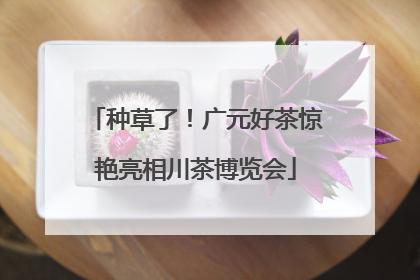 种草了！广元好茶惊艳亮相川茶博览会
