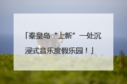 秦皇岛“上新”一处沉浸式音乐度假乐园！