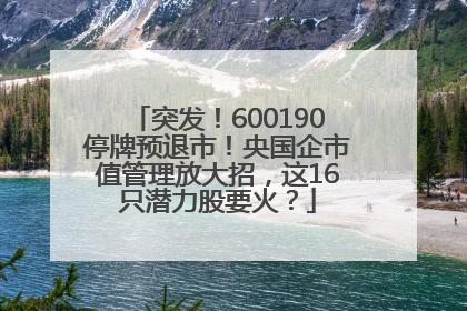 突发！600190停牌预退市！央国企市值管理放大招，这16只潜力股要火？