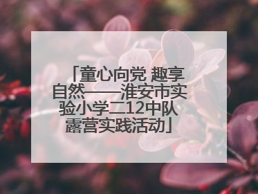 童心向党 趣享自然——淮安市实验小学二12中队露营实践活动