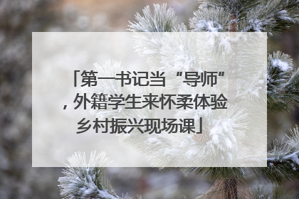 第一书记当“导师”，外籍学生来怀柔体验乡村振兴现场课