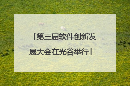 第三届软件创新发展大会在光谷举行